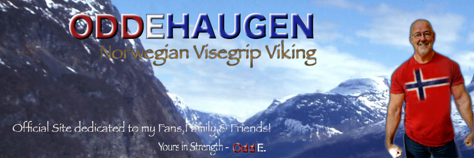 ODD E HAUGEN Logo